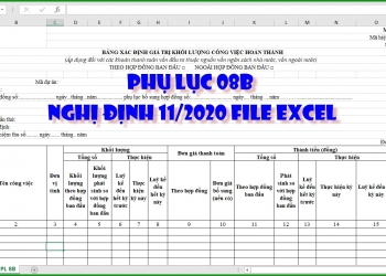 phu-luc-08b-nghi-dinh-11-2020-file-excel