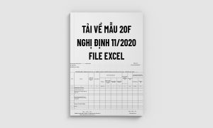 Tải về mẫu 20f nghị định 11/2020 file excel