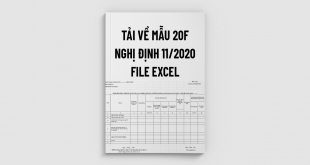 tai-ve-mau-20f-nghi-dinh-so-11-2020-btc-file-excel